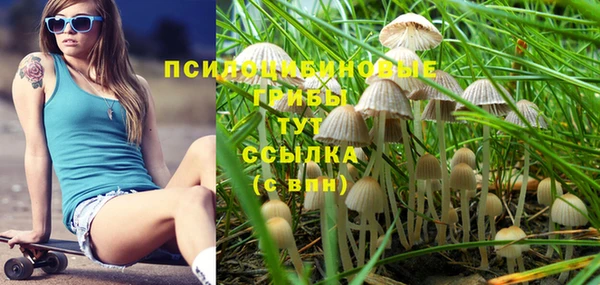 синтетический гашиш Абинск