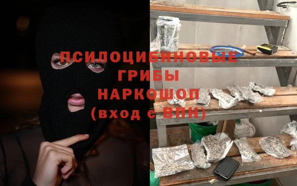 твердый Медногорск