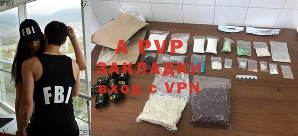 шишки Арсеньев